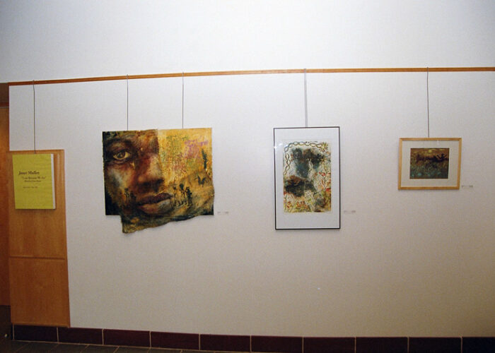 Janet Mullen gallery installation