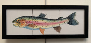 Rainbow Trout by Stan Klaneski