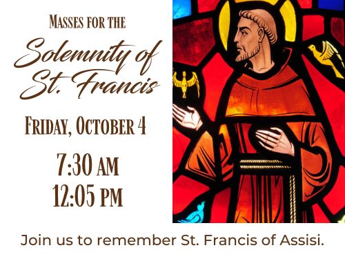 Feast of St Francis 2024