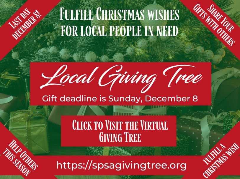 Giving Tree 2024