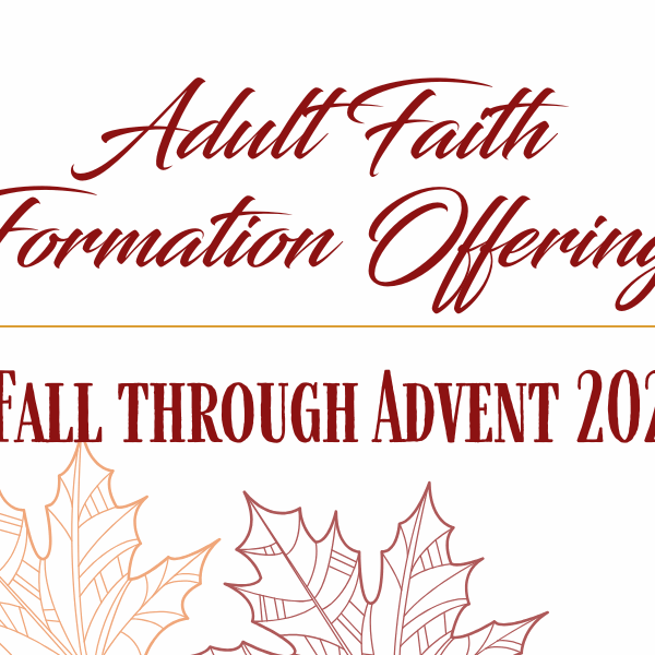 Adult Faith banner 2025