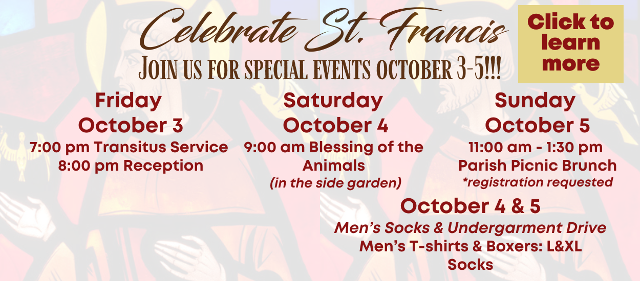 St Francis 2025 banner